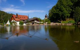 Self-check-in Ferienwohnungen&Apartments am Bergsee